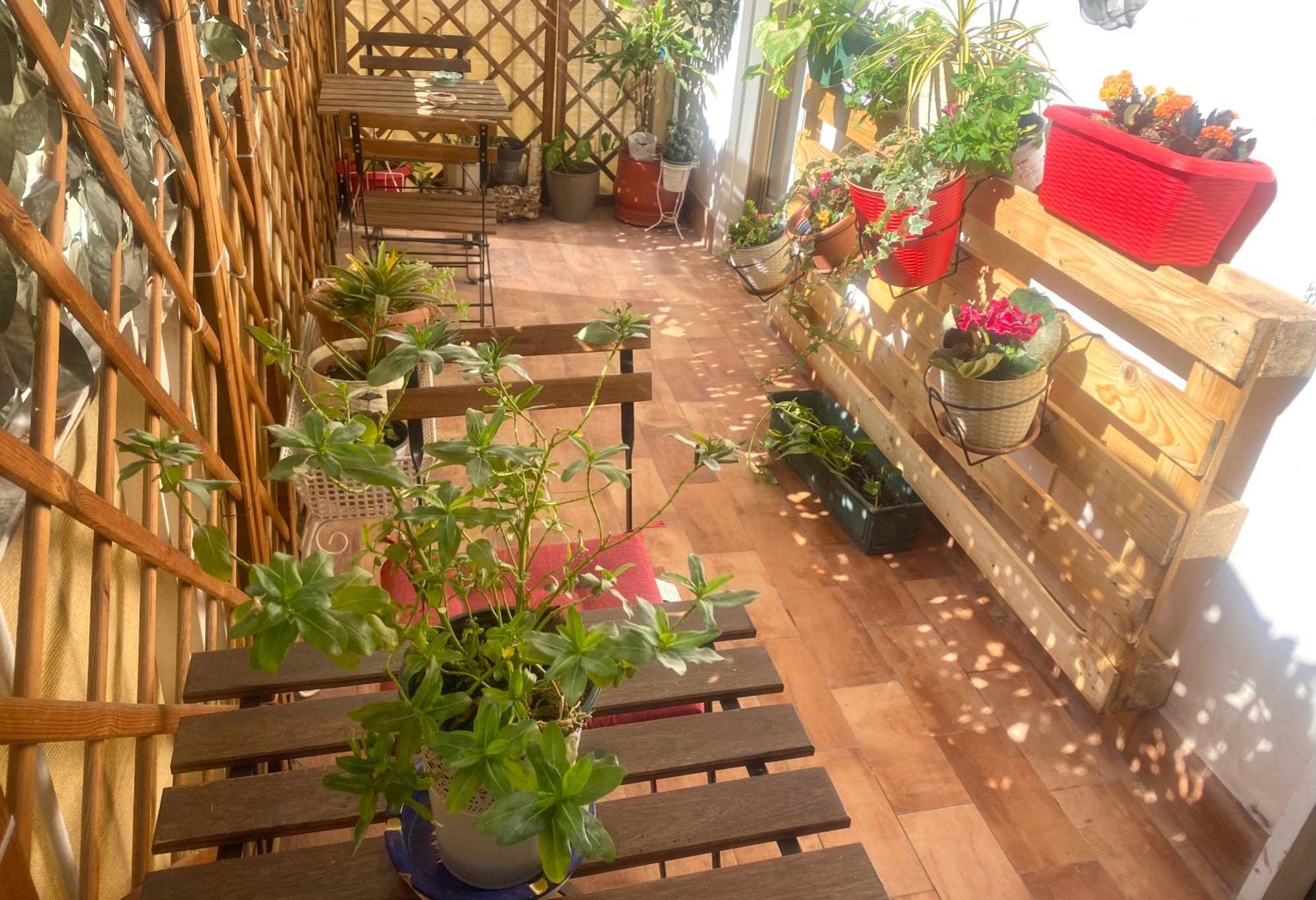 巴勒莫阿尔贝西西里旅馆住宿加早餐旅馆 外观 照片